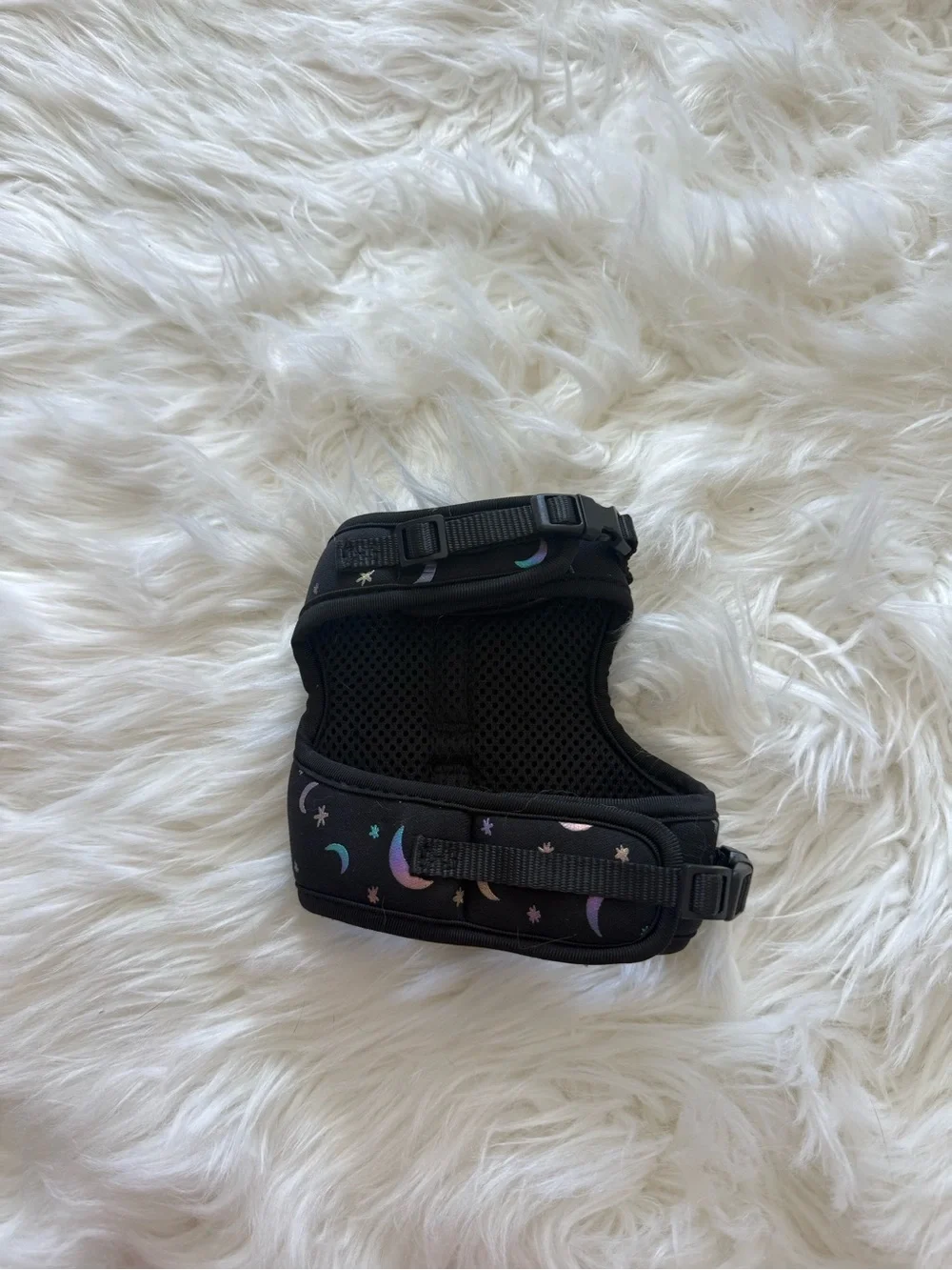 Whisker City® Black Moon Cat Harness and Leash Combo Set KITTEN
